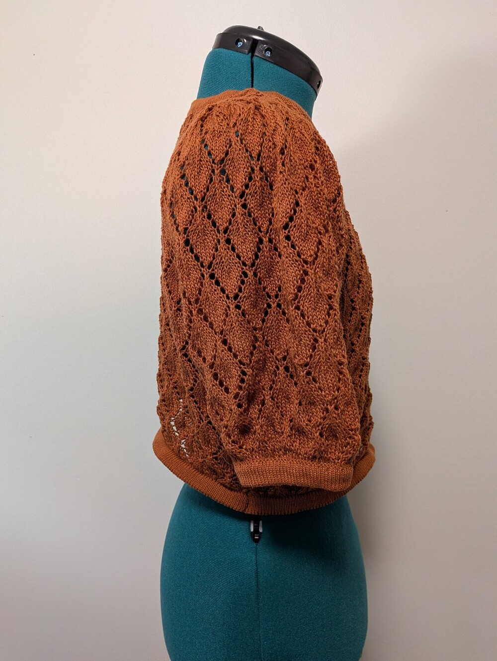And Now This Rust Orange Open-Knit Short Sleeve Crop Sweater - Picture 2 of 6